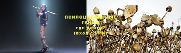 ALPHA PVP Алзамай