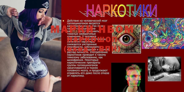 соль ск Алексин