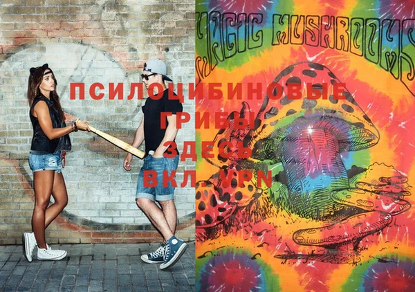 мяу мяу мука Куйбышев
