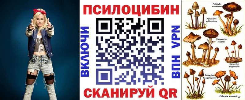 Галлюциногенные грибы Psilocybine cubensis  Елец 